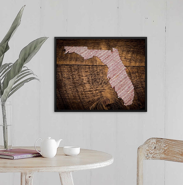 Florida 16x20 Floating Frame Fine Art Canvas Print from The America at the Seams Project LE/250