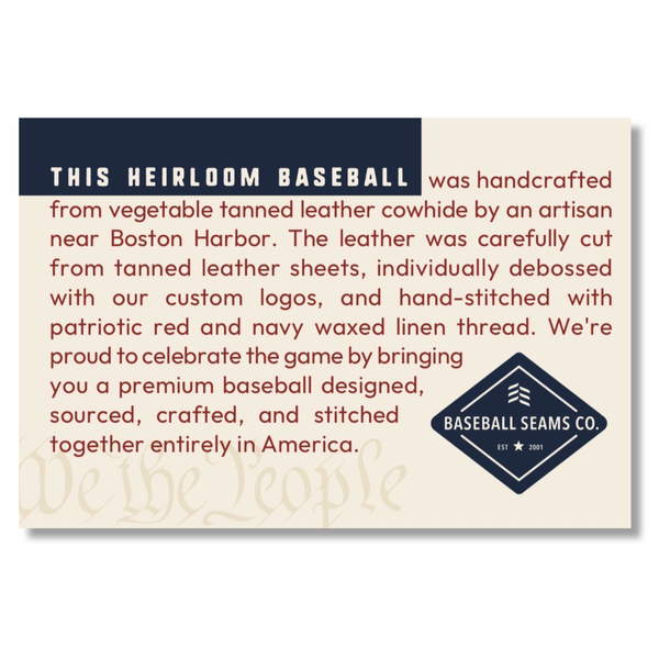 USA We The People Baseball