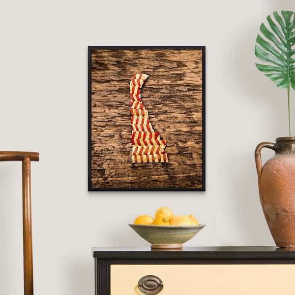 Delaware 16x20 Floating Frame Fine Art Canvas Print from The America at the Seams Project LE/250