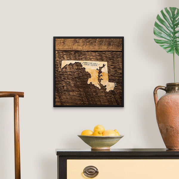 Maryland 16x16 Floating Frame Fine Art Canvas Print from The America at the Seams Project LE/250
