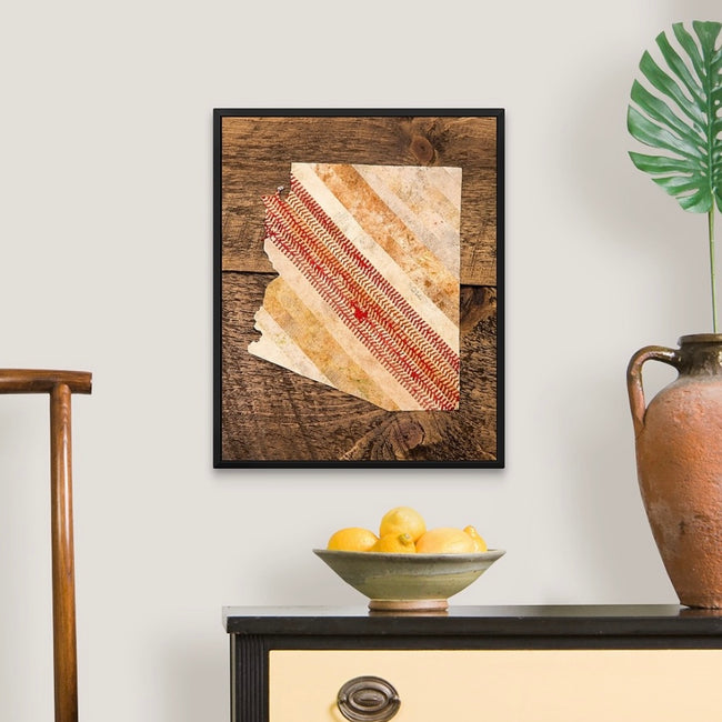 Arizona 16x20 Floating Frame Fine Art Canvas Print from The America at the Seams Project LE/250