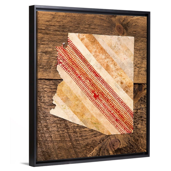 Arizona 16x20 Floating Frame Fine Art Canvas Print from The America at the Seams Project LE/250