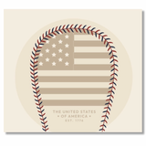 USA We The People Baseball