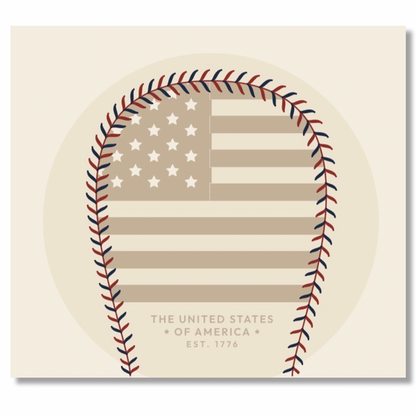 USA We The People Baseball
