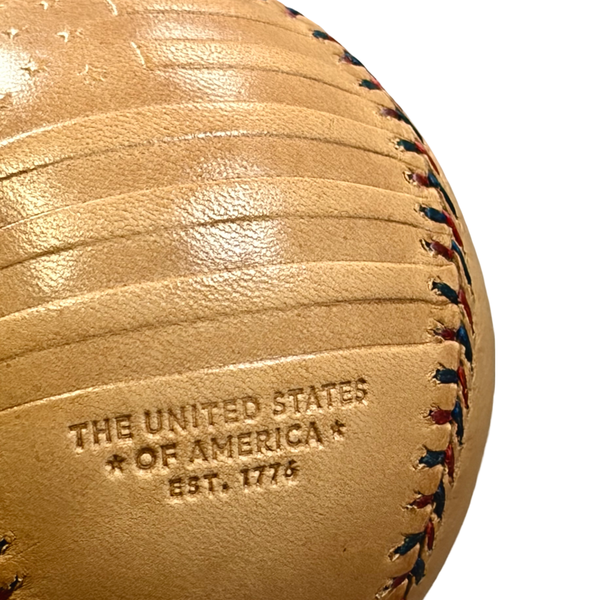 USA We The People Baseball